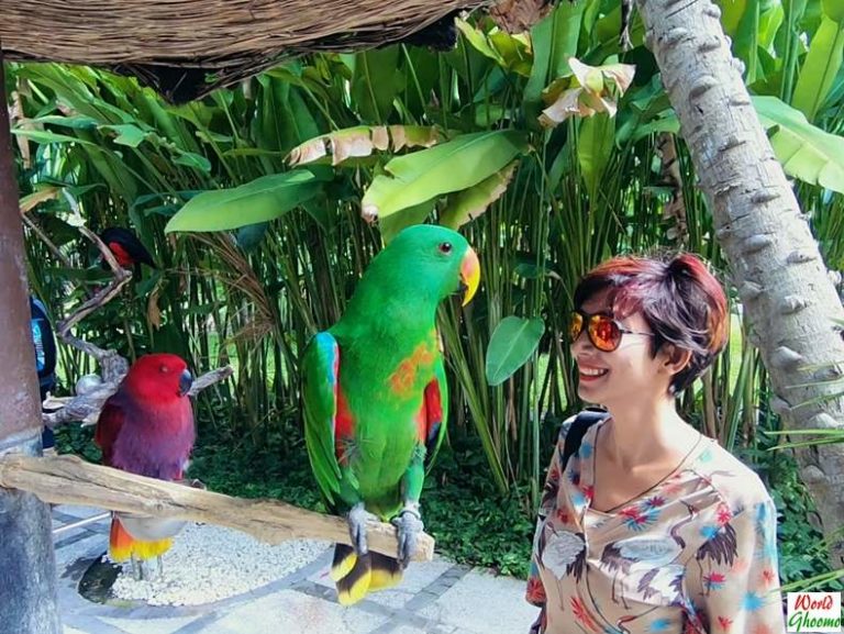 Bali Bird Park Guide | Everything You Need to Know — World Ghoomo