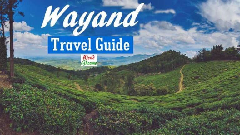 wayanad trip organizer