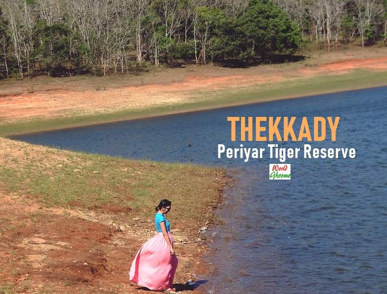 thekkady travel agency